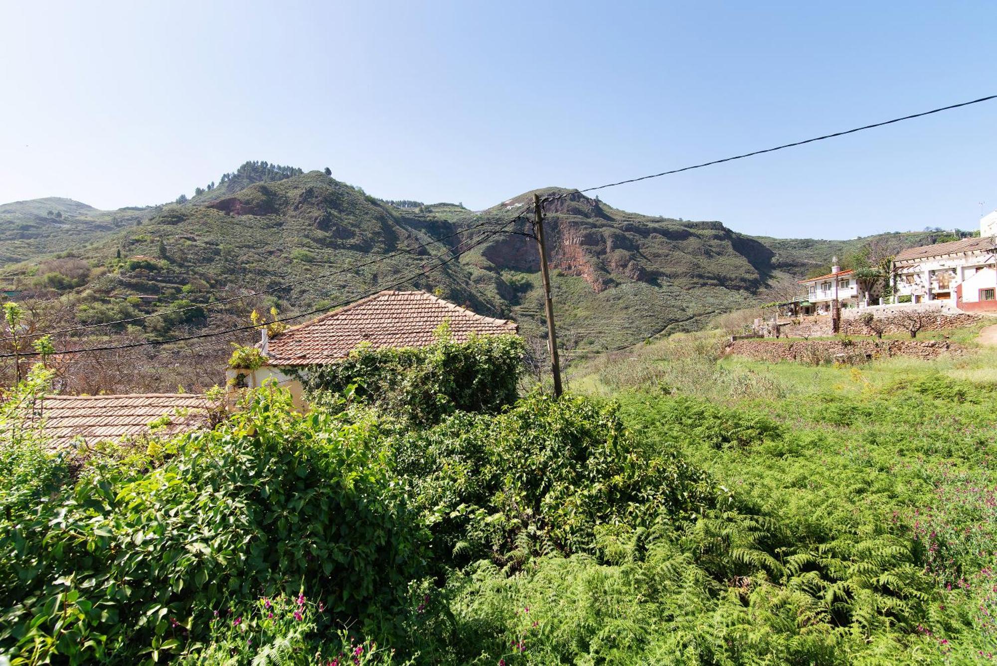 Villa Alma Vega de San Mateo Eksteriør bilde